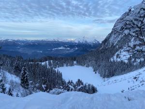 Independent studio in a chalet
