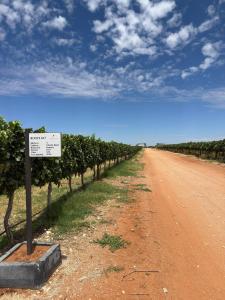 Kharuhase Campsite and Distillery