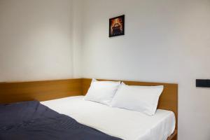 1BHK apartment with penthouse Vijay Nagar