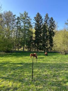 LAgolum - B&B Baisy-Thy