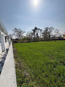 The Quiet Retreat- Nature Surrounded Village Farm