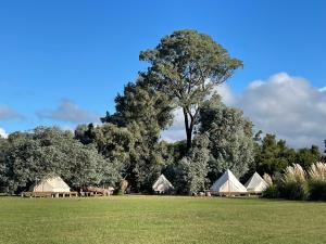 REFUGIO Natural Glamping