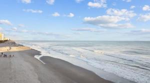 DriftMint- Ocean View- Dog friendly, Garage