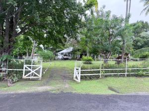 Green paradise