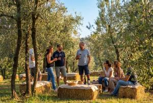 Agriturismo La Poggiarina