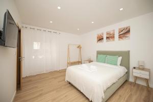 City Garden House by Hosty