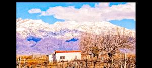 Casa de Campo Finca la Angelita 2