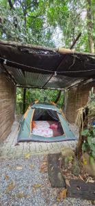 Glamping Macacu