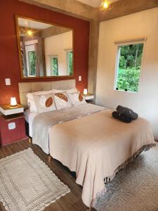 Studio Mata dos Curiós