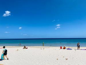 Rainbow House Pinus Village