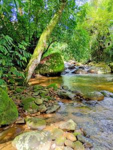 Suíte de Bioconstrução - Tijolo Ecológico