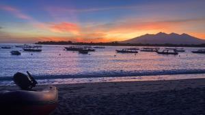 Beach Villa - Gili Trawangan - Privat Villa with Pool and privat Gym - up to 4 people