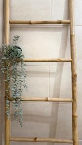 Apartamentos do Atlantico