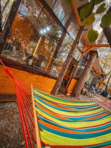 Бунгало Борче