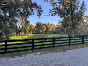 St Johns River Cabin