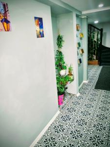 GuestHouse 4 Karma369