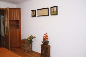 PRZYTULNY APARTAMENT NA WYŁĄCZNOŚĆ - Gorlice ul Hallera