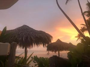 aruba studios bavaro beach swimming pool wifi