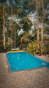 Happy Feet Wayanad