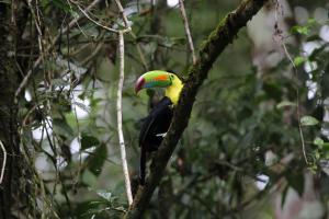 La Fortuna Country House By Chachagua Rainforest