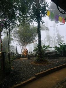 Happy Feet Wayanad