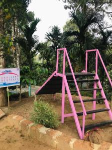 Happy Feet Wayanad