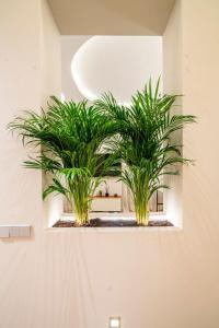 R14 –Deluxe Style Trendiest location in Malasaña