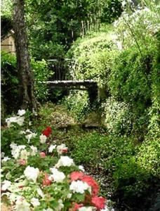 B&B / Chambres d'hotes L'Amandari - Chambres d'hotes : photos des chambres