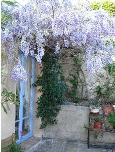 B&B / Chambres d'hotes L'Amandari - Chambres d'hotes : photos des chambres