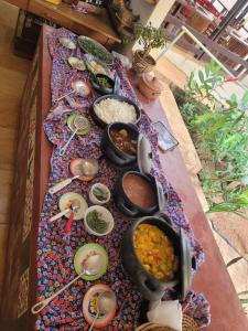 Ananda Multiverse Evolve 15 from the Botanical Garden