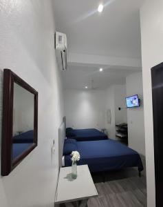 Casa Delfines Puerto Escondido