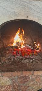 Lilos House , Pogradec