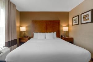 Comfort Inn & Suites Peachtree Corners - Norcross