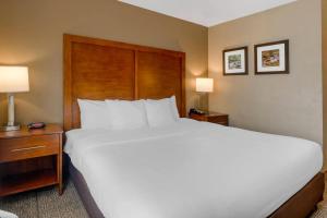 Comfort Inn & Suites Peachtree Corners - Norcross