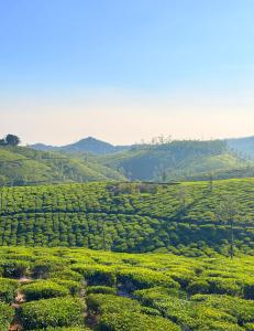 Budget Appartments Thekkady