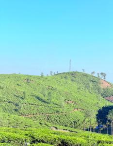 Budget Appartments Thekkady