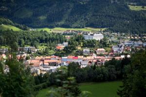 Panorama Apartment Bauernhof Mandl