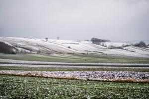 Dosłońce Resort Wellness & Farm