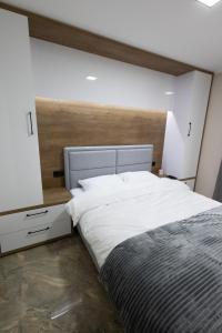 Vila Sofija Banja Vrujci