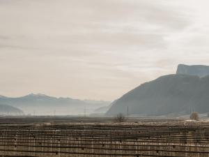 Gisshübelhof Apartments