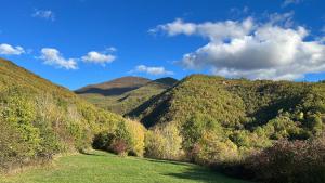 Quiet Mountain Retreat near Cabella Ligure