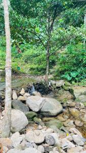 House of Lee-Party room