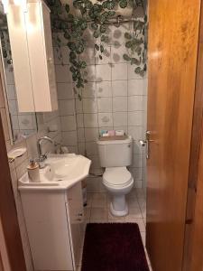 Bright & Comfortable Apartment in the City Center