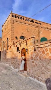 Seyr-i asur