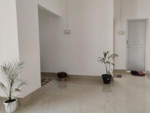 Pranalay HS Warm and Cozy