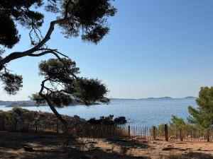 New LOrangeraie avec terrasse