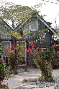 Trạm Chill Homestay