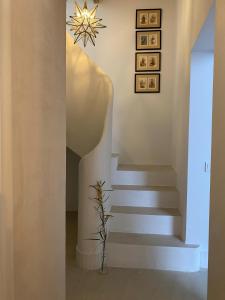 Ohliving Sales y Ferre