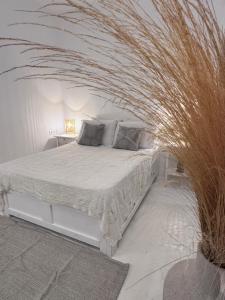 Islander House - One Bedroom House