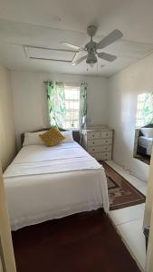 Charming Holiday House in Lower Carlton, Barbados